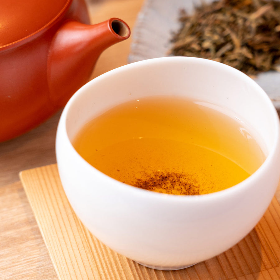 Premium Organic Loose-Leaf Hojicha Tea (Light Roast) - Set of Ten Packs (10% Discount)